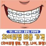 치아교정 비용