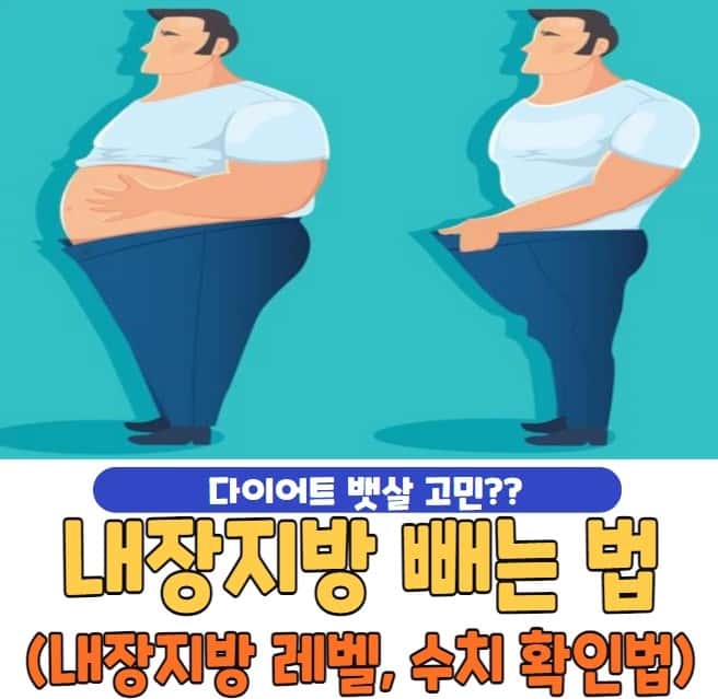 내장지방 빼는 법 및 내장지방 수치 확인, 운동, 식이요법