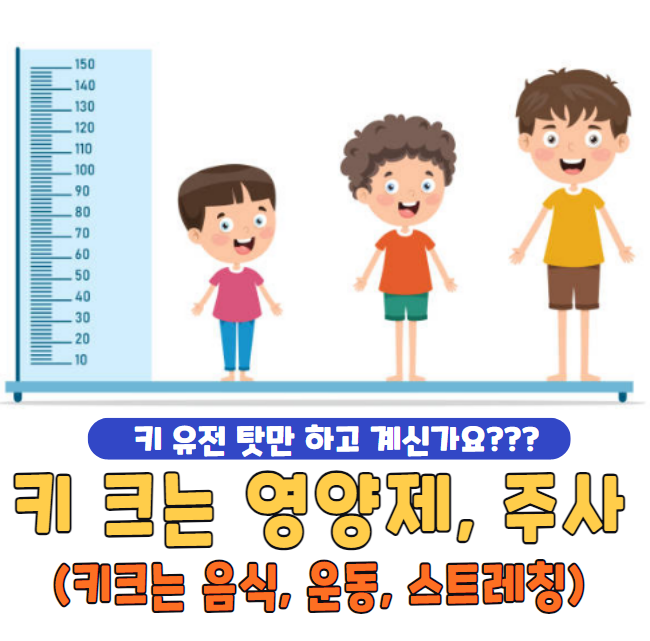 키 크는 영양제