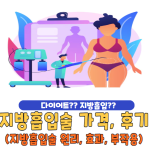 지방흡입술 가격