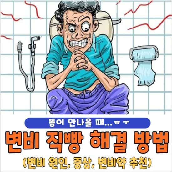 변비 직빵