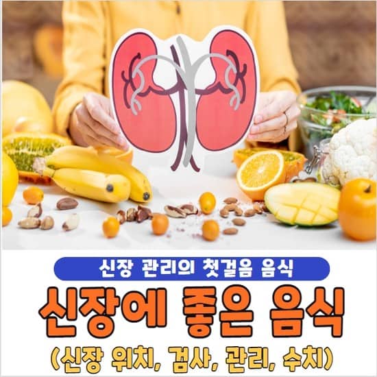 신장에 좋은 음식