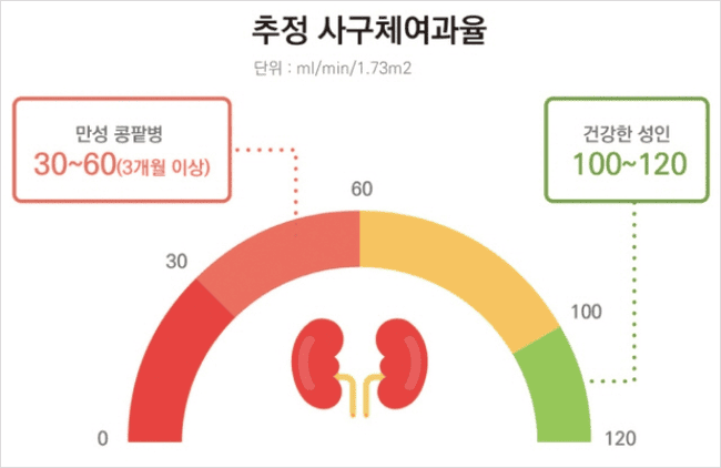 사구체여과율