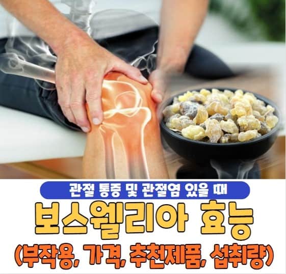보스웰리아 효능