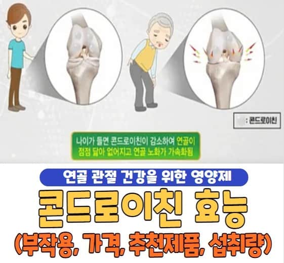 콘드로이친 효능