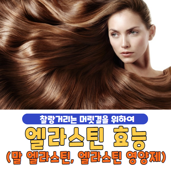 엘라스틴 효능