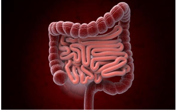 대장암 초기증상