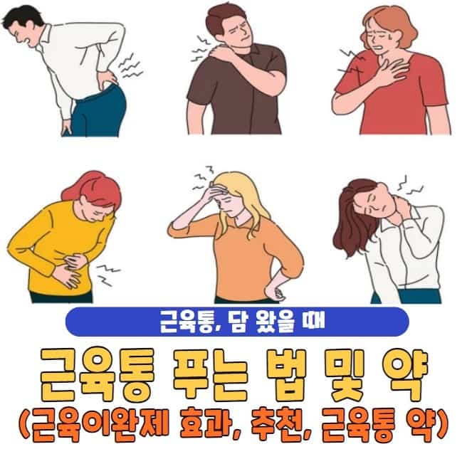 근육통 푸는법