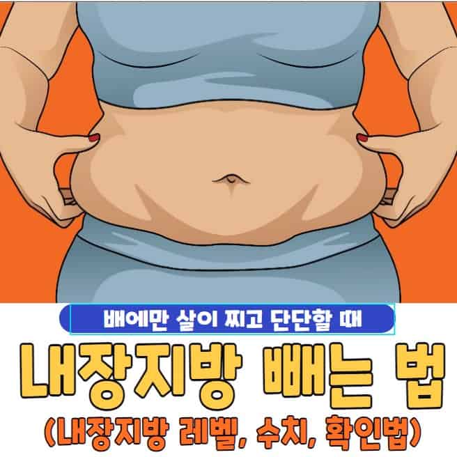 내장지방 빼는 법