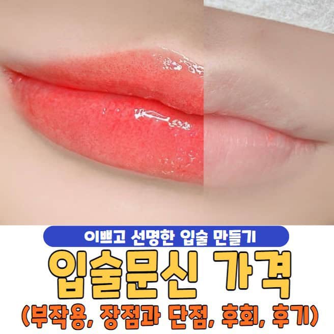 입술문신 가격