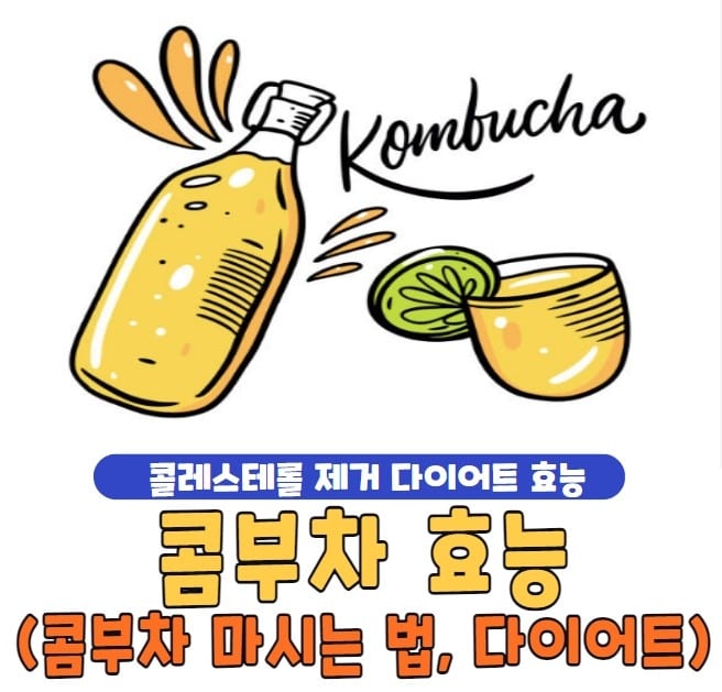 콤부차 효능 부작용 및 콤부차 마시는 법, 다이어트 효능 - 베리굿