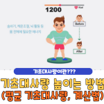 기초대사량 늘리는 방법