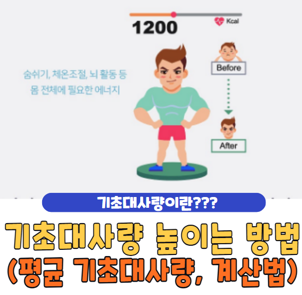 기초대사량 늘리는 방법