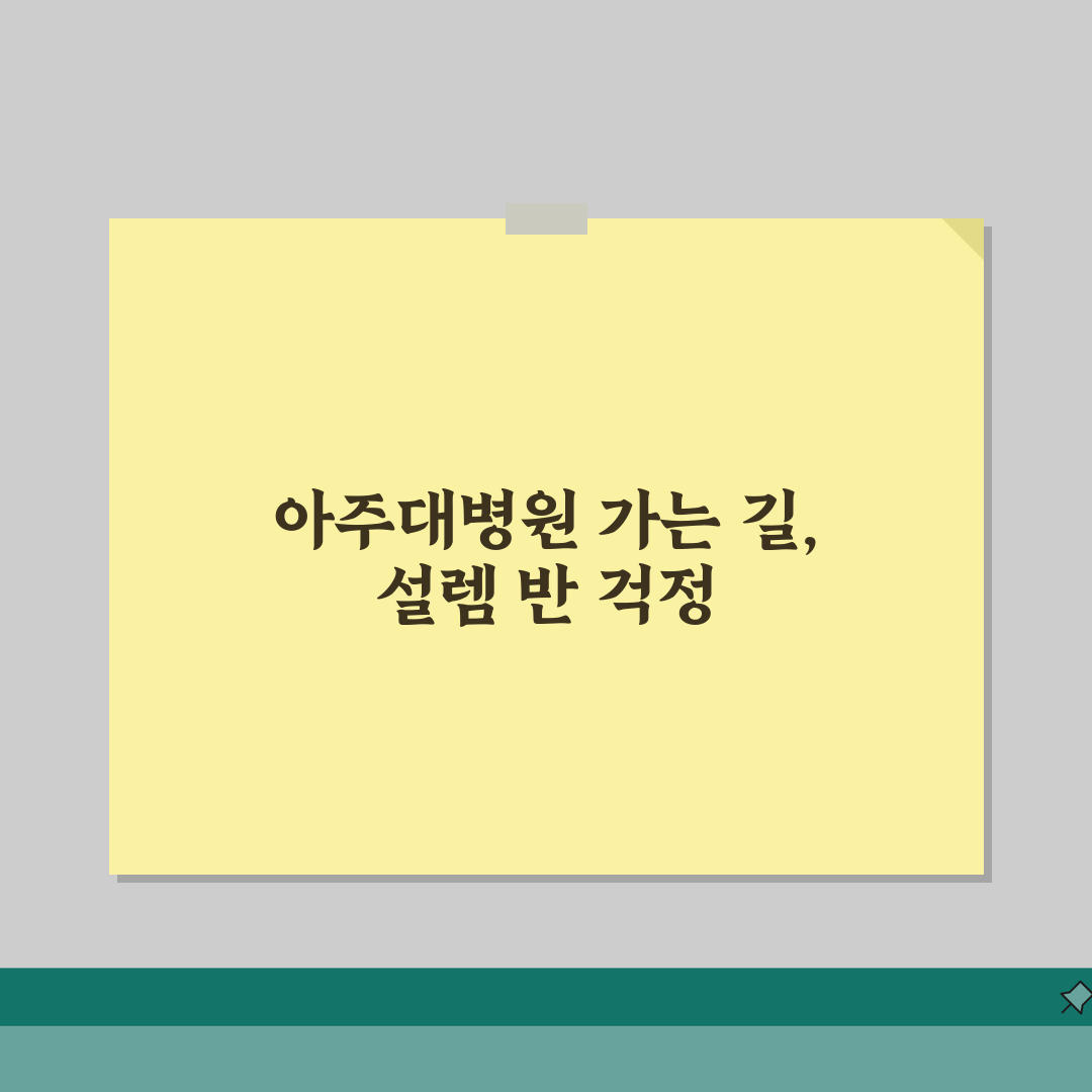 수원 아주대병원 찾아가는 방법 | 대중교통과 자가용 이용 팁 직접 해봤어요
