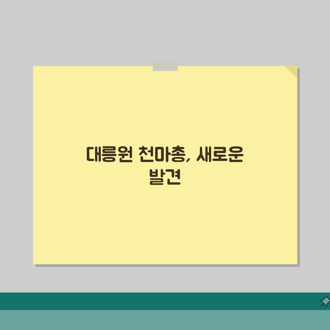 경주 대릉원 천마총 관람 가이드 | 역사적 의미와 볼거리 체험기
