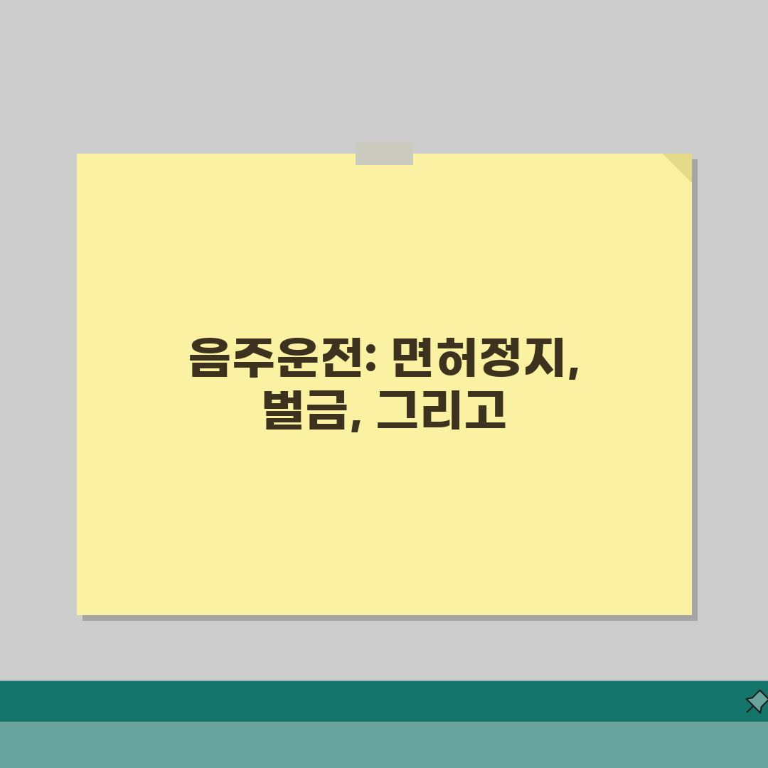 음주운전 면허정지 벌금 병과 | 행정처분 형사처벌 동시 부과 직접 해봤어요