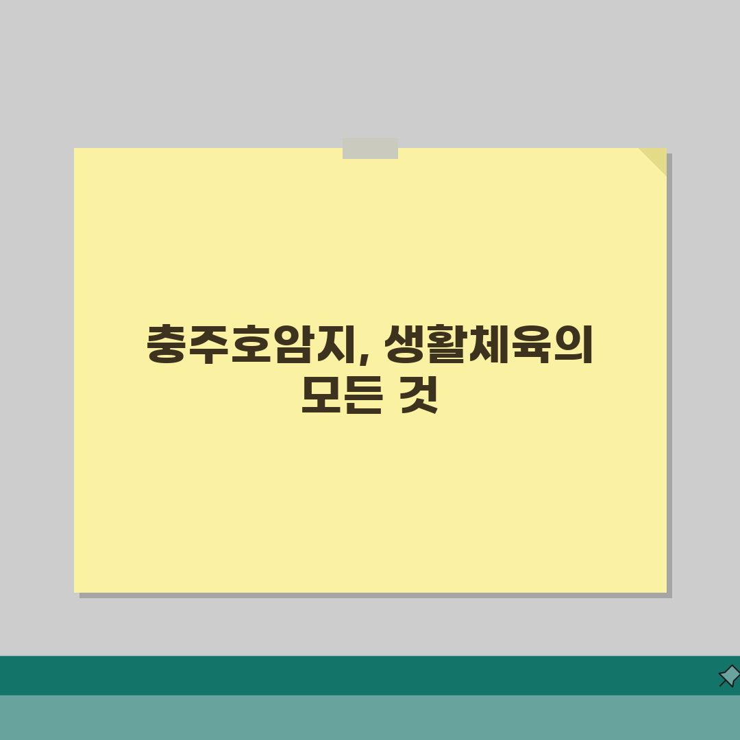 충주호암지생활체육공원 충주시 전체 프로그램 안내 솔직후기, 직접 해봤어요