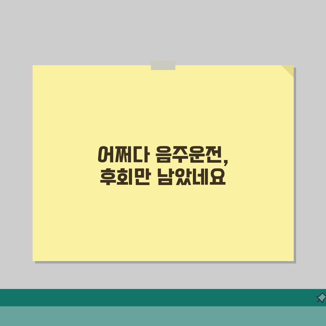 음주운전 면허정지 벌금 병과 | 행정처분 형사처벌 동시 부과 직접 해봤어요