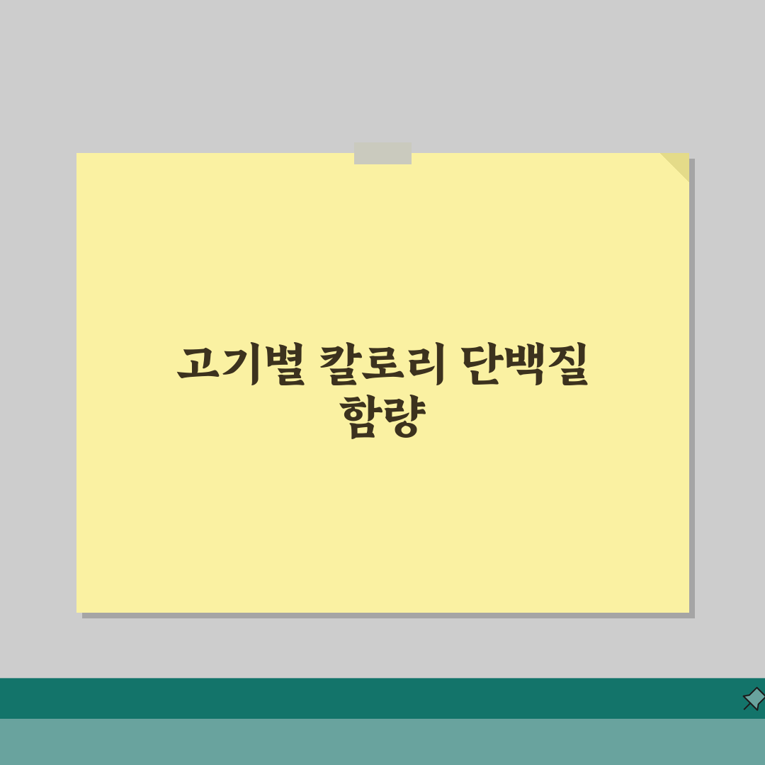 육류 부위별 칼로리 단백질 함량 | 소고기 돼지고기 닭고기 영양성분표 솔직후기, 이것만은