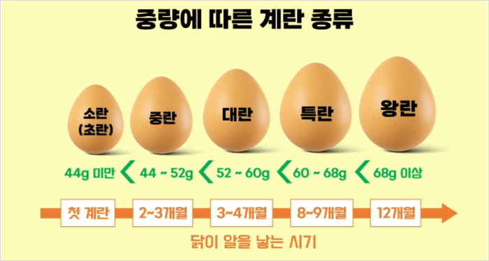 중량에 따라 나뉘는 계란 규격 표