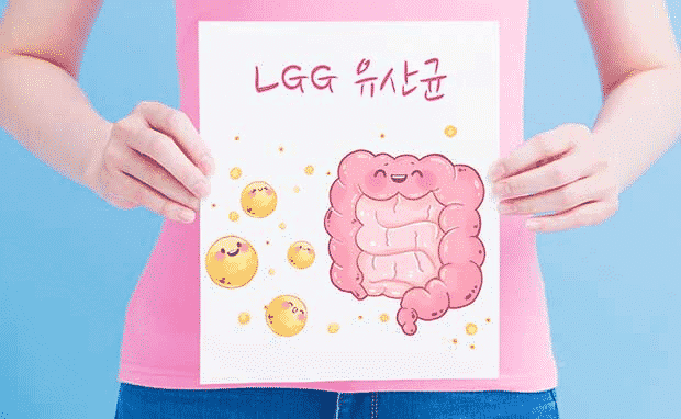LGG 유산균 락토바실러스 람노서스 GG