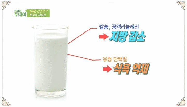 유청 단백질을 활용한 다이어트 식단