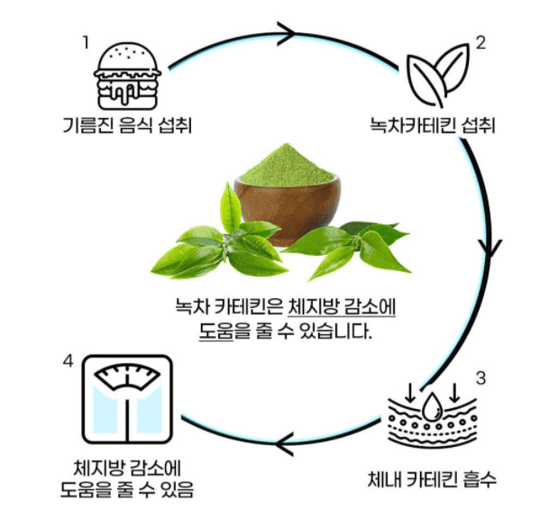 맥스컷의 주원료 녹차 카테킨