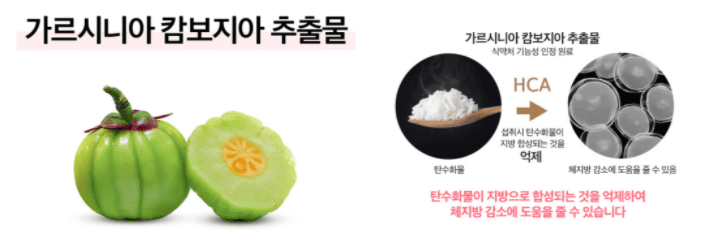 가르시니아 캄보지아 추출물의 작용