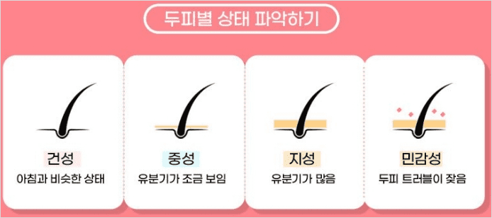 지성 건성 민감성으로 나뉘는 두피 상태 비교