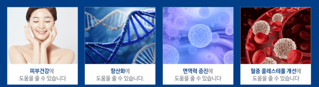 모모단 제품 구성과 특징 안내