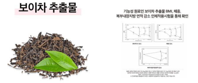 보이차 추출물