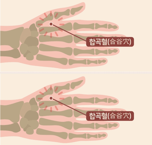 엄지와 검지 사이 합곡혈 지압 위치