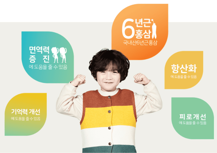 아이클타임에 함유된 홍삼