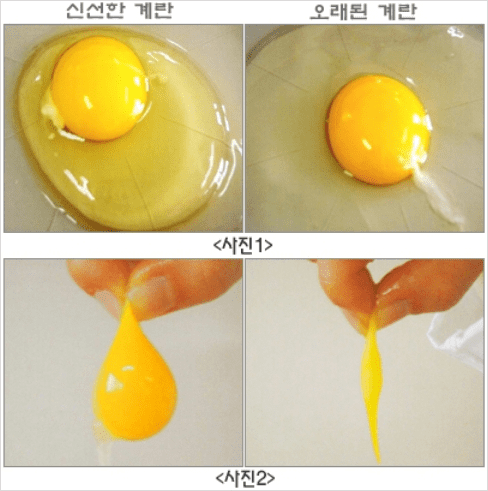 물에 담가 확인하는 계란 신선도 판별법