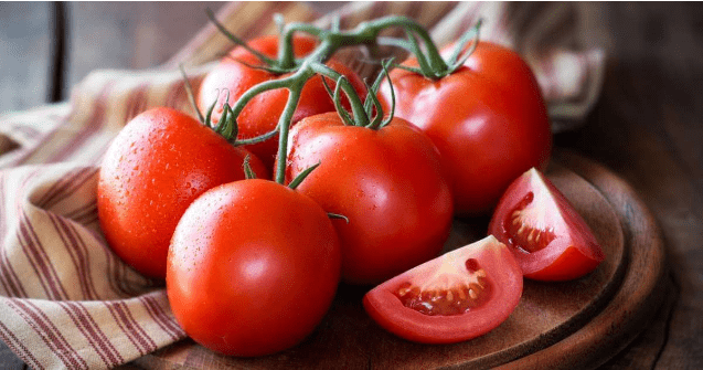 잘 익은 붉은 토마토