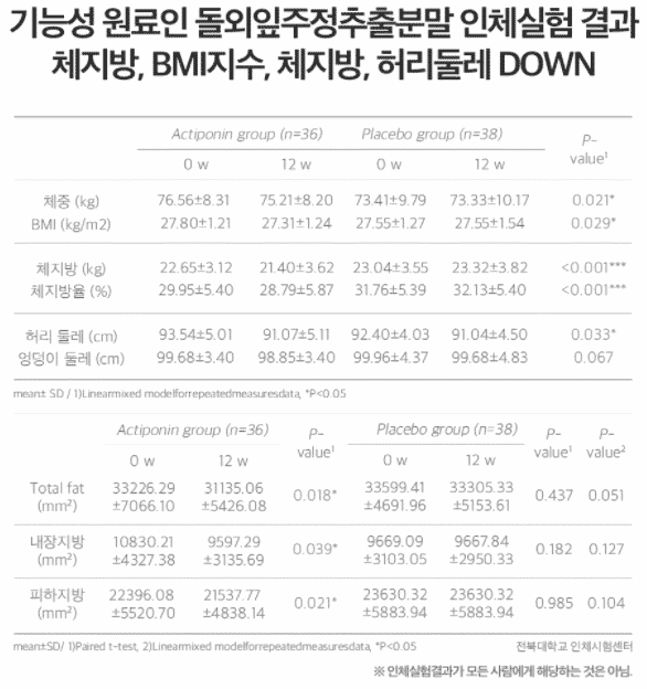 베라핏 다이어트 섭취 후 변화