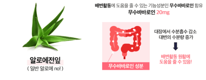 알로에 전잎 원료