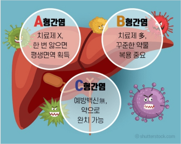 오른쪽 윗배에 위치한 간