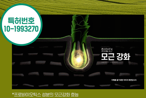 라보에이치 프로바이오틱스 탈모샴푸 사용 후기