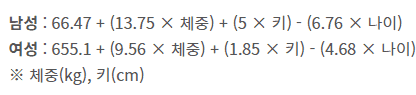 기초대사량 계산법
